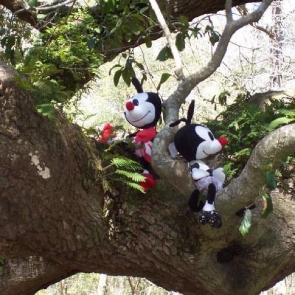 Meet your Posher, Dot! THIS LISTING NOT FOR SALE! - Picture 4 of 12